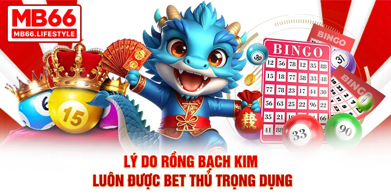 Lý do Rồng bạch kim luôn được bet thủ trọng dụng