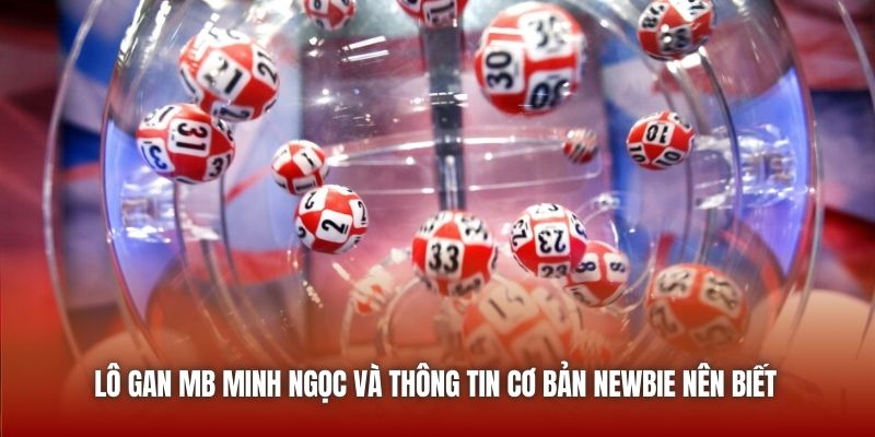 Lô gan MB Minh Ngọc và thông tin cơ bản newbie nên biết